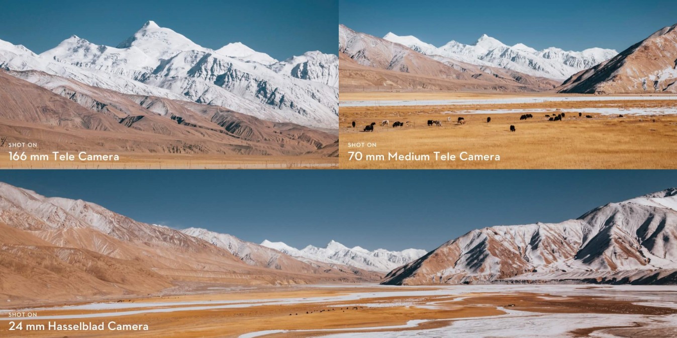 Screenshot 2025-10-01 115946.jpg